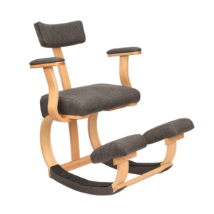 Ergo Active Pro